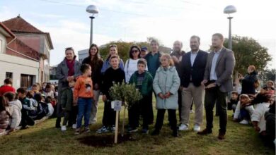 Freguesia de Arada festeja autonomia e o Padroeiro São Martinho Freguesia de Arada festeja autonomia e o Padroeiro São Martinho