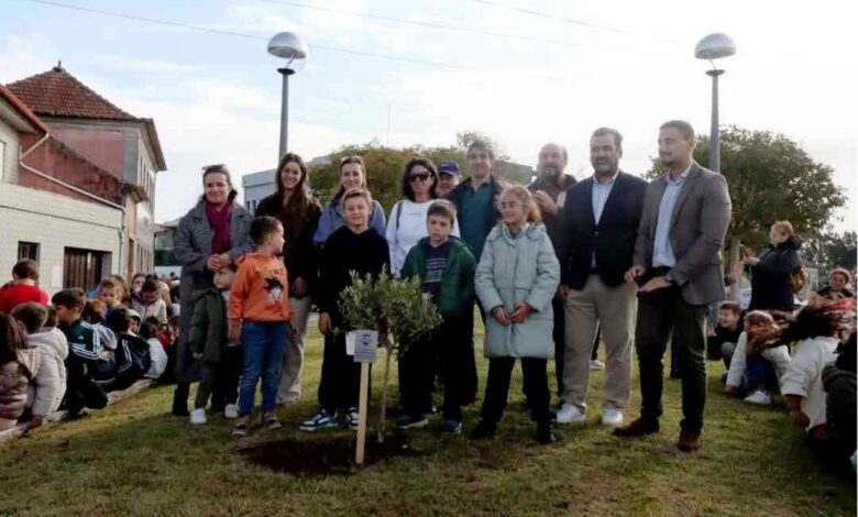 Freguesia de Arada festeja autonomia e o Padroeiro São Martinho