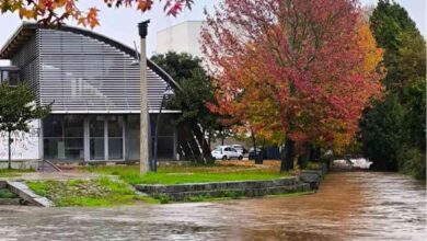 Rio Cáster transborda na cidade de Ovar