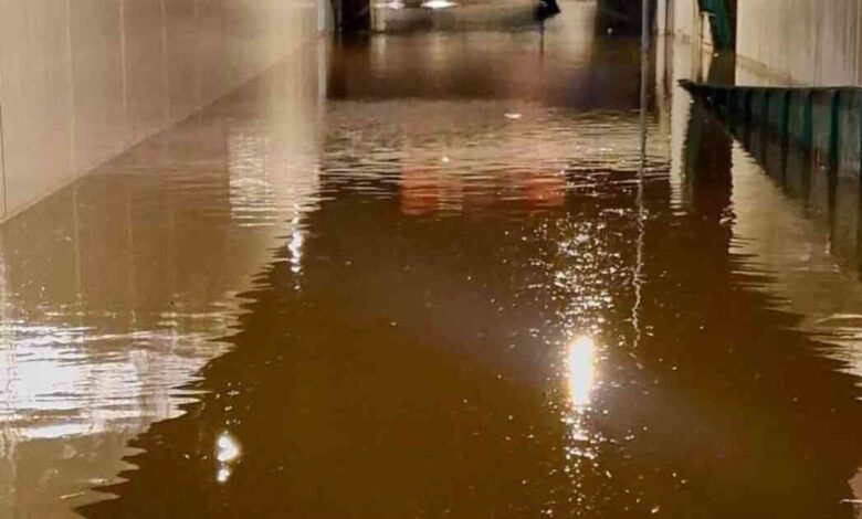 Tempestade Cláudia em Esmoriz: Uma noite de desafios, uma manhã de resiliência Tempestade Cláudia em Esmoriz: Uma noite de desafios, uma manhã de resiliência