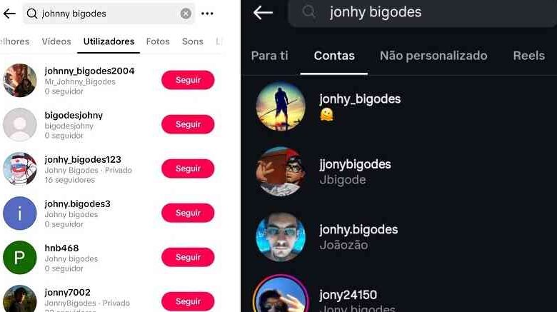 Johny Bigodes: Anatomia de um Pseudónimo Troll na Internet Portuguesa