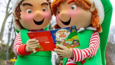 Perlim lança primeiro livro de coleção infantil Perlim lança primeiro livro de coleção infantil