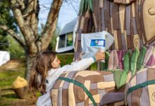 Já há chupetas confiadas ao Pai Natal, presentes escondidos pelo recinto e perto de mil benfeitores