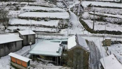 Nevão no primeiro dia de inverno pintou de branco várias localidades do país