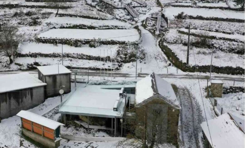 Nevão no primeiro dia de inverno pintou de branco várias localidades do país