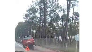 Despiste insólito no cruzamento da Pousada da Juventude, em Ovar