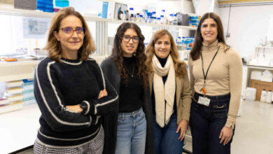 Novo método de diagnóstico para a infertilidade masculina em estudo na UA Novo método de diagnóstico para a infertilidade masculina em estudo na UA