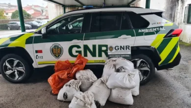 Apreendidos cerca de 300 quilos de mexilhão capturados ilegalmente em Ovar Apreendidos cerca de 300 quilos de mexilhão capturados ilegalmente em Ovar