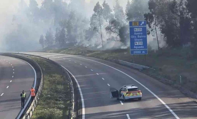 Incêndio em Aveiro pode condicionar recolha de lixo nos próximos dias