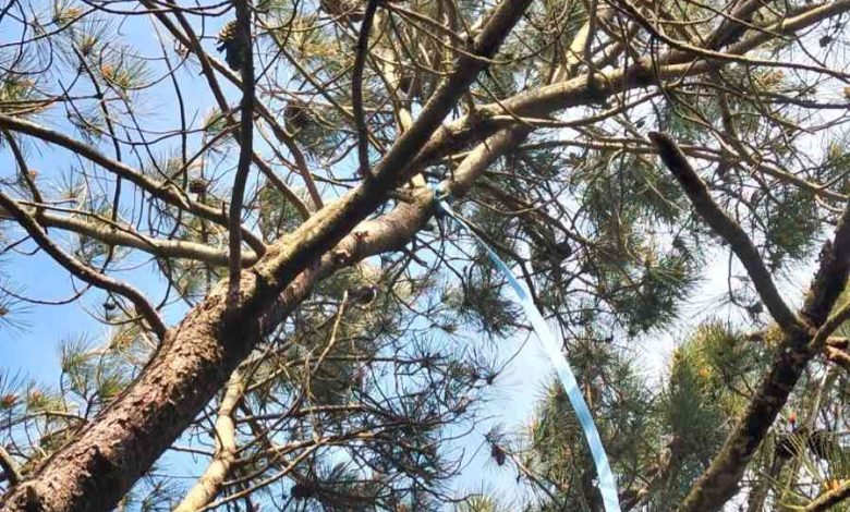 Quem é o enforcado encontrado há uma semana no Furadouro