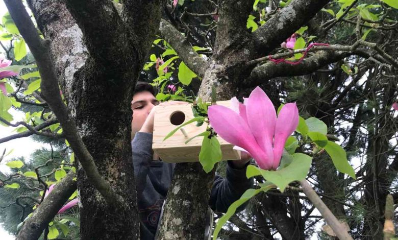 Válega: Jardim de Infância do Carvalho celebra o Dia da Árvore Válega: Jardim de Infância do Carvalho celebra o Dia da Árvore