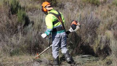 Incêndios: Proprietários no concelho de Ovar têm até 30 de junho para as limpezas de terrenos