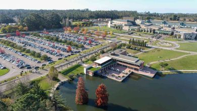 Europarque recebe 5 000 atletas e 15 000 visitantes no maior evento desportivo da sua história