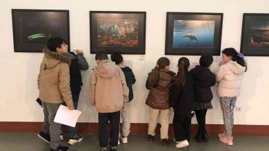 Exposições dos Amigos do Cáster motivam o gosto pela fotografia de Natureza nos estudantes de Ovar