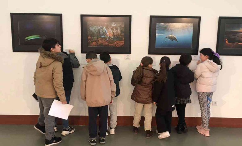 Exposições dos Amigos do Cáster motivam o gosto pela fotografia de Natureza nos estudantes de Ovar Exposições dos Amigos do Cáster motivam o gosto pela fotografia de Natureza nos estudantes de Ovar