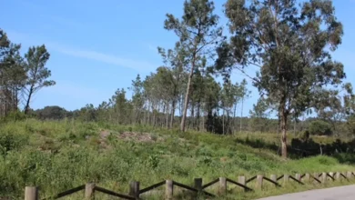 Associação +Pinhal pede mais ação para proteger aterro de Maceda Associação +Pinhal pede mais ação para proteger aterro de Maceda