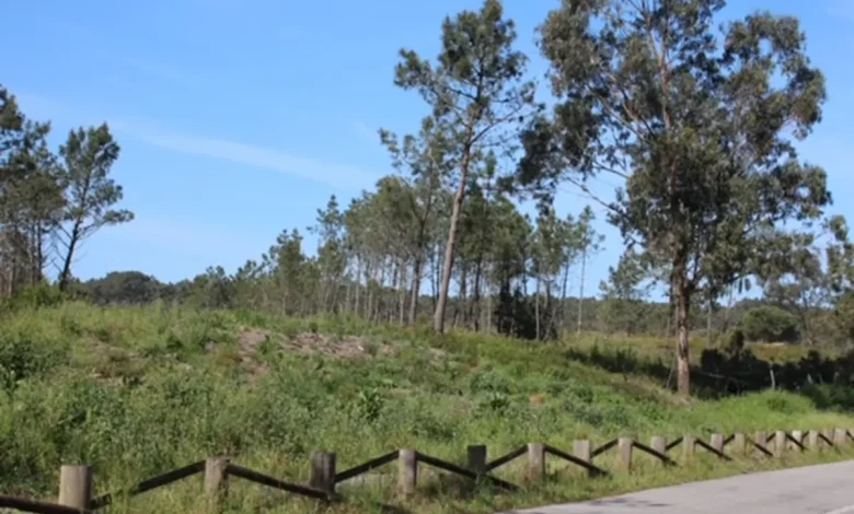 Associação +Pinhal pede mais ação para proteger aterro de Maceda
