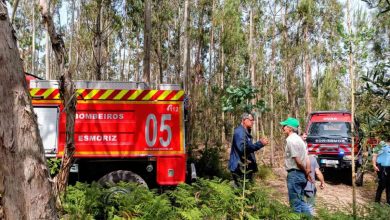 Incêndio florestal combatido com apoio de meio aéreo em Válega/Avanca