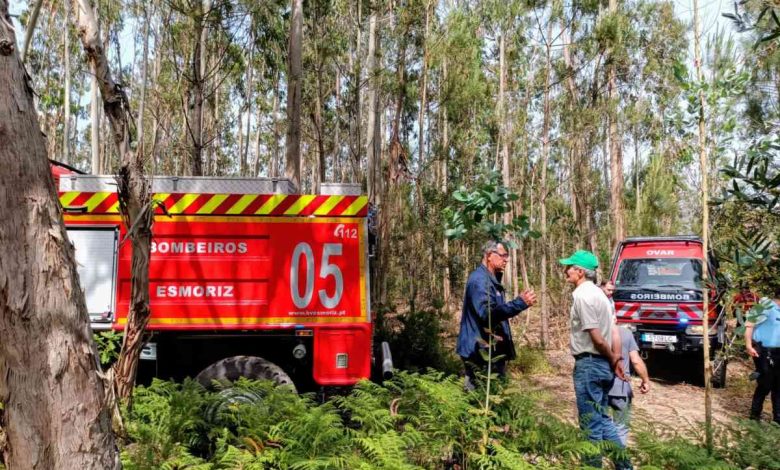 Incêndio florestal combatido com apoio de meio aéreo em Válega/Avanca