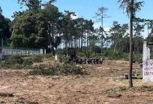 PS: Parque de Merendas do Buçaquinho-Quando os factos desmontam a narrativa