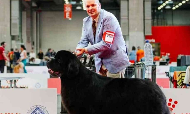 Criador de Válega destaca-se no World Dog Show 2026 em Bolonha