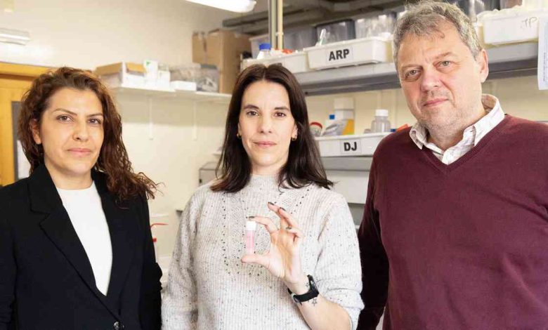 UA cria biomaterial com potencial para medicina regenerativa e engenharia de tecidos