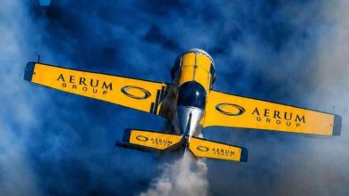 Espinho de “nariz no ar” para ver os aviões