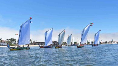 Mestre Rito e Domingos Mole dão lição de bem navegar na Grande Regata de Moliceiros Mestre Rito e Domingos Mole dão lição de bem navegar na Grande Regata de Moliceiros