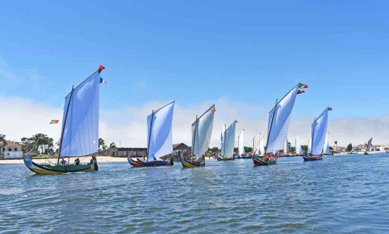 Mestre Rito e Domingos Mole dão lição de bem navegar na Grande Regata de Moliceiros