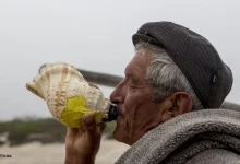 Documentário “MAR ALBERTO” estreia-se a nível nacional no Festival CineEco