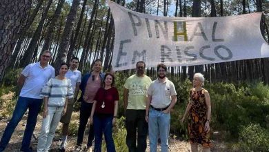 BE: Catarina Martins classifica de irresponsável a “aliança entre autarquia e madeireiros”.