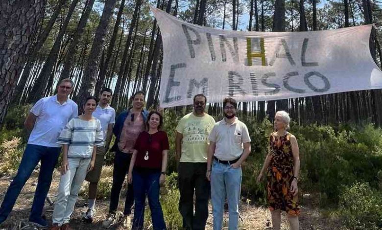 BE: Catarina Martins classifica de irresponsável a “aliança entre autarquia e madeireiros”.