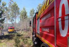 Válega: Fogo em mato mobilizou quatro corporações de bombeiros na Senhora d´Entre Águas