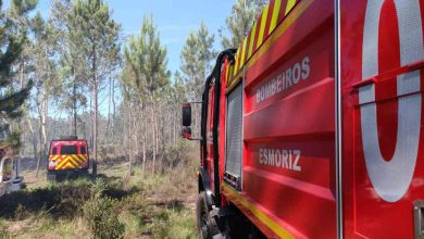 Válega: Fogo em mato mobilizou quatro corporações de bombeiros na Senhora d´Entre Águas Válega: Fogo em mato mobilizou quatro corporações de bombeiros na Senhora d´Entre Águas