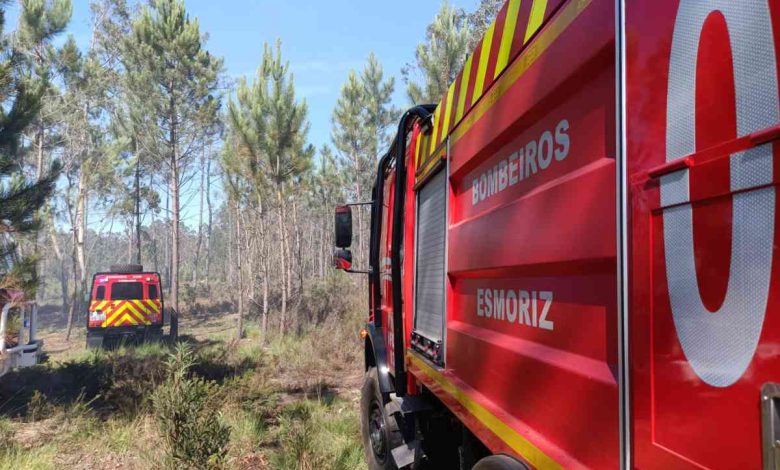 Válega: Fogo em mato mobilizou quatro corporações de bombeiros na Senhora d´Entre Águas Válega: Fogo em mato mobilizou quatro corporações de bombeiros na Senhora d´Entre Águas