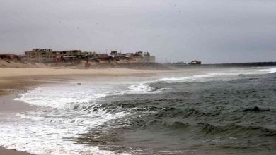 Apelo à melhoria das condições da Praia do Furadouro – Correio do Leitor