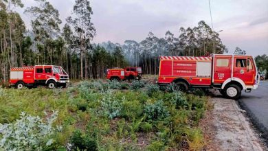 Incêndio florestal em Maceda mobiliza corporações de Esmoriz, Ovar e Estarreja Incêndio florestal em Maceda mobiliza corporações de Esmoriz, Ovar e Estarreja