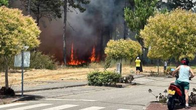 Chamas lavram em zona florestal de Ovar. Três meios aéreos envolvidos (c/vídeos) Chamas lavram em zona florestal de Ovar. Três meios aéreos envolvidos (c/vídeos)