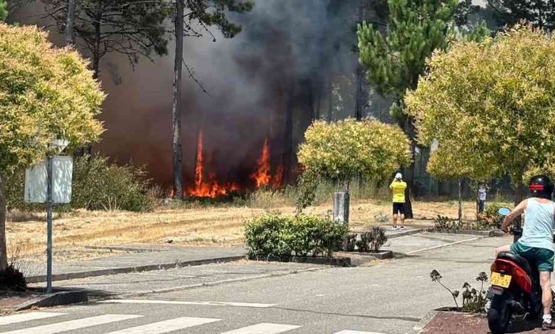 Chamas lavram em zona florestal de Ovar. Três meios aéreos envolvidos (c/vídeos) Chamas lavram em zona florestal de Ovar. Três meios aéreos envolvidos (c/vídeos)