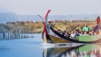 Pardilhó convida a comunidade a viver a Ria num dia de experiências únicas Pardilhó convida a comunidade a viver a Ria num dia de experiências únicas