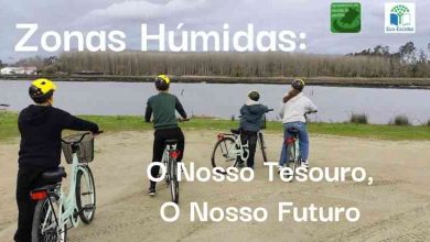 Projeto “Wetlands” da Escola de Pardilhó conquista 2.º lugar nacional Projeto “Wetlands” da Escola de Pardilhó conquista 2.º lugar nacional