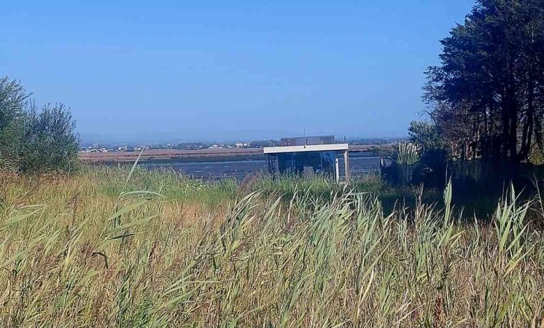 Barco-Casa Flutuante está na Ria mas o registo está na Polónia Barco-Casa Flutuante está na Ria mas o registo está na Polónia