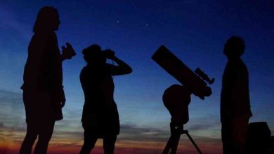 Astronomia e biodiversidade nas noites de Verão na BioRia