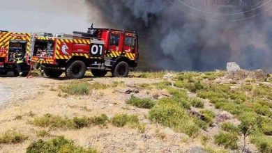 Arouca: Incêndio descontrolado mantém três frentes ativas e mobiliza centenas de operacionais