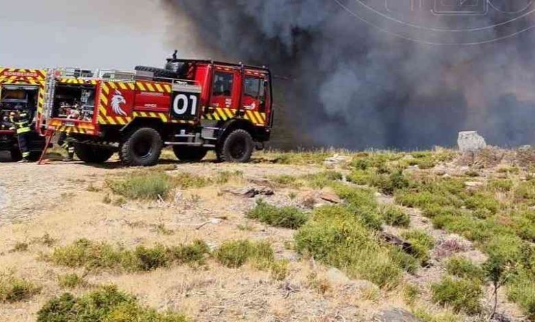 Arouca: Incêndio descontrolado mantém três frentes ativas e mobiliza centenas de operacionais