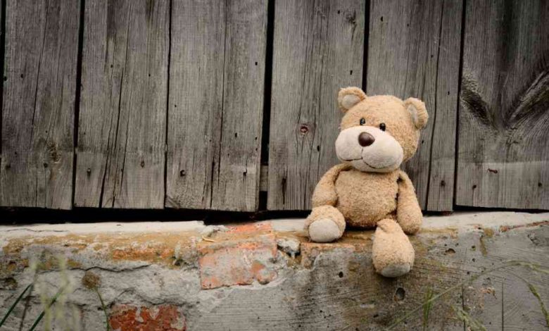 Mulher suspeita de violência sobre crianças de 10 e 5 anos detida pela GNR