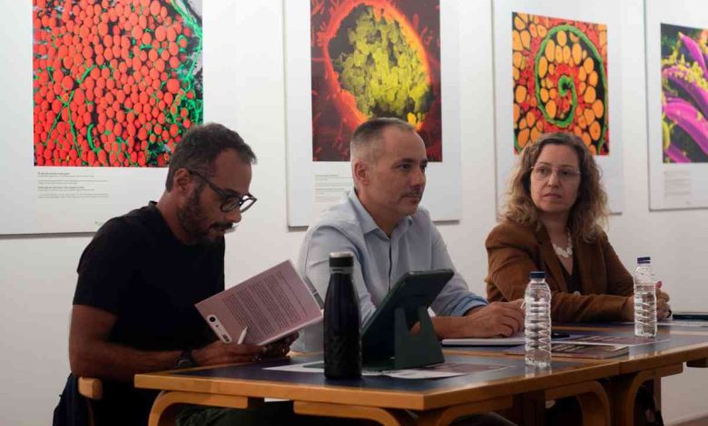 Autor de Ovar lança primeiro livro sobre o Caminho Francês de Santiago Autor de Ovar lança primeiro livro sobre o Caminho Francês de Santiago