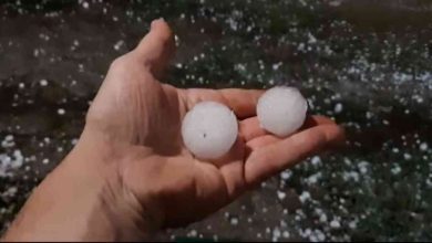 Granizo do tamanho de “bolas de golfe” em Oliveira de Azeméis (c/vídeo) Granizo do tamanho de “bolas de golfe” em Oliveira de Azeméis (c/vídeo)
