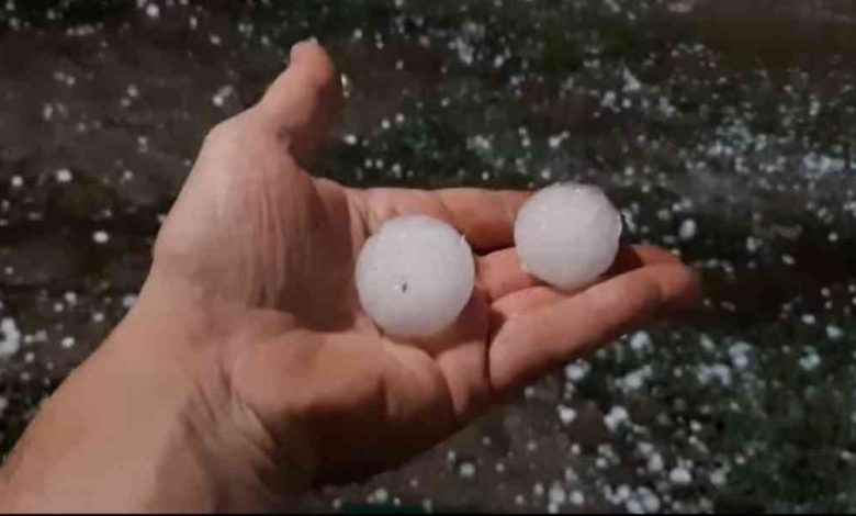 Granizo do tamanho de “bolas de golfe” em Oliveira de Azeméis (c/vídeo) Granizo do tamanho de “bolas de golfe” em Oliveira de Azeméis (c/vídeo)