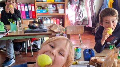Estudo revela que os alunos das escolas do distrito melhoram hábitos alimentares ao implementarem o projeto “Heróis da Fruta”